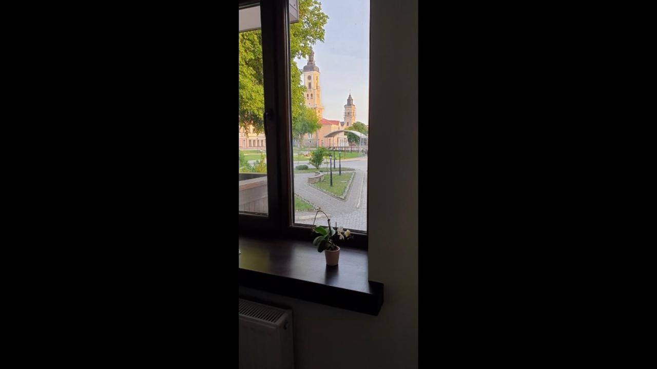 Бажане Місце Daire Kamyanets-Podilski Dış mekan fotoğraf